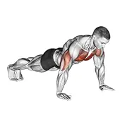 Animated push-up demonstration