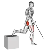 band one arm single leg split squat demonstration