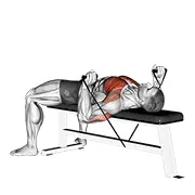 band bench press demonstration