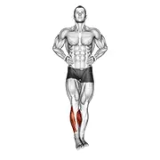 ankle circles demonstration